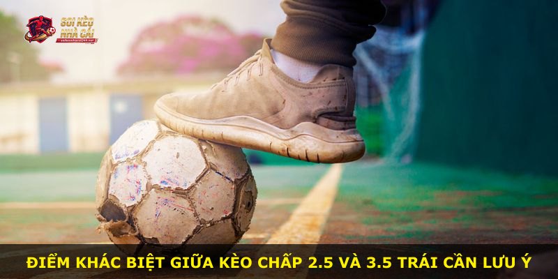 Điểm khác biệt giữa kèo chấp 2.5 và 3.5 trái cần lưu ý