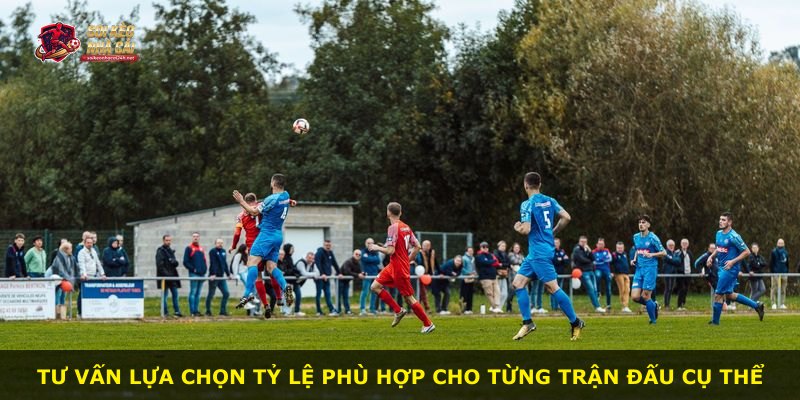Tư vấn lựa chọn tỷ lệ phù hợp cho từng trận đấu cụ thể