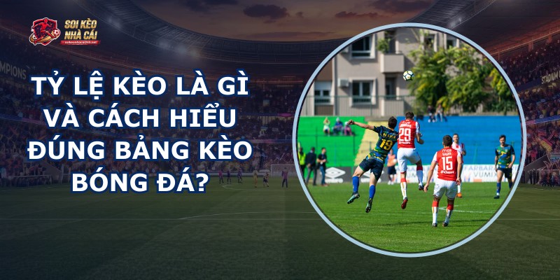 Tỷ Lệ Kèo